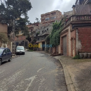 Location Local Alger Bouzareah | Alger - Algérie | Dir L’affaire