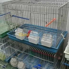 Cages | Alger - Algérie | Dir L’affaire