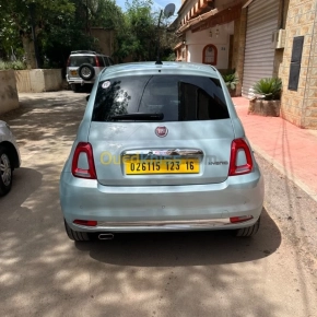 Fiat 500 Club 2023 | Blida - Algérie | Dir L’affaire