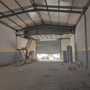 Location Hangar Blida Bougara | Blida - Algérie | Dir L’affaire