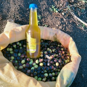 Huile zbouj زيت زبوج جديد | Béjaïa - Algérie | Dir L’affaire