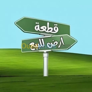 Vente Terrain Mostaganem | Mostaganem - Algérie | Dir L’affaire