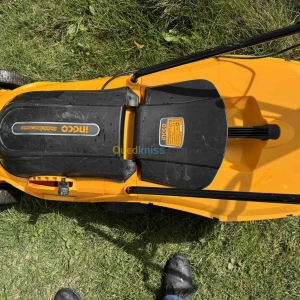 Tondeuse à gazon électrique | Constantine - Algérie | Dir L’affaire