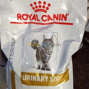 Croquettes pour chat | Oran - Algérie | Dir L’affaire