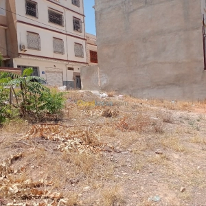 Vente Terrain Tlemcen Nedroma | Tlemcen - Algérie | Dir L’affaire
