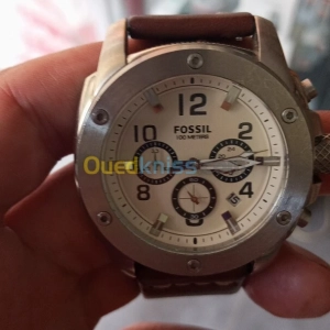 Fossil | Alger - Algérie | Dir L’affaire